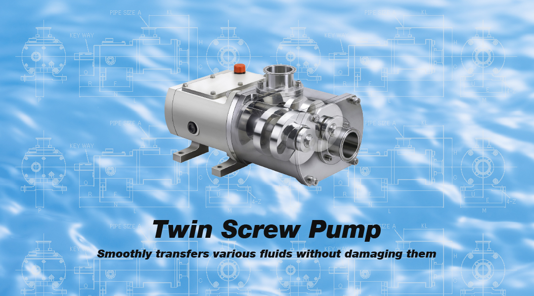 Twin screw pump