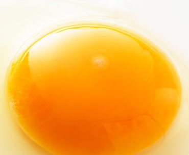 Liquid egg